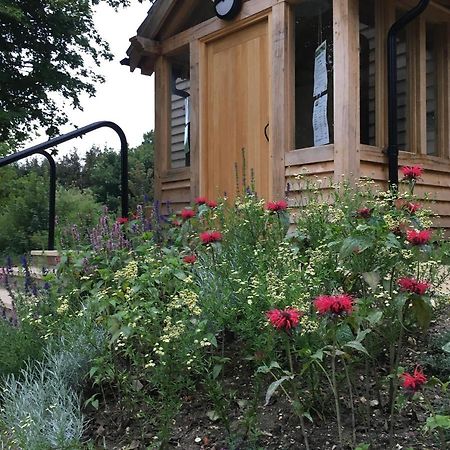 South Downs Eco Lodge & Camping East Meon Luaran gambar