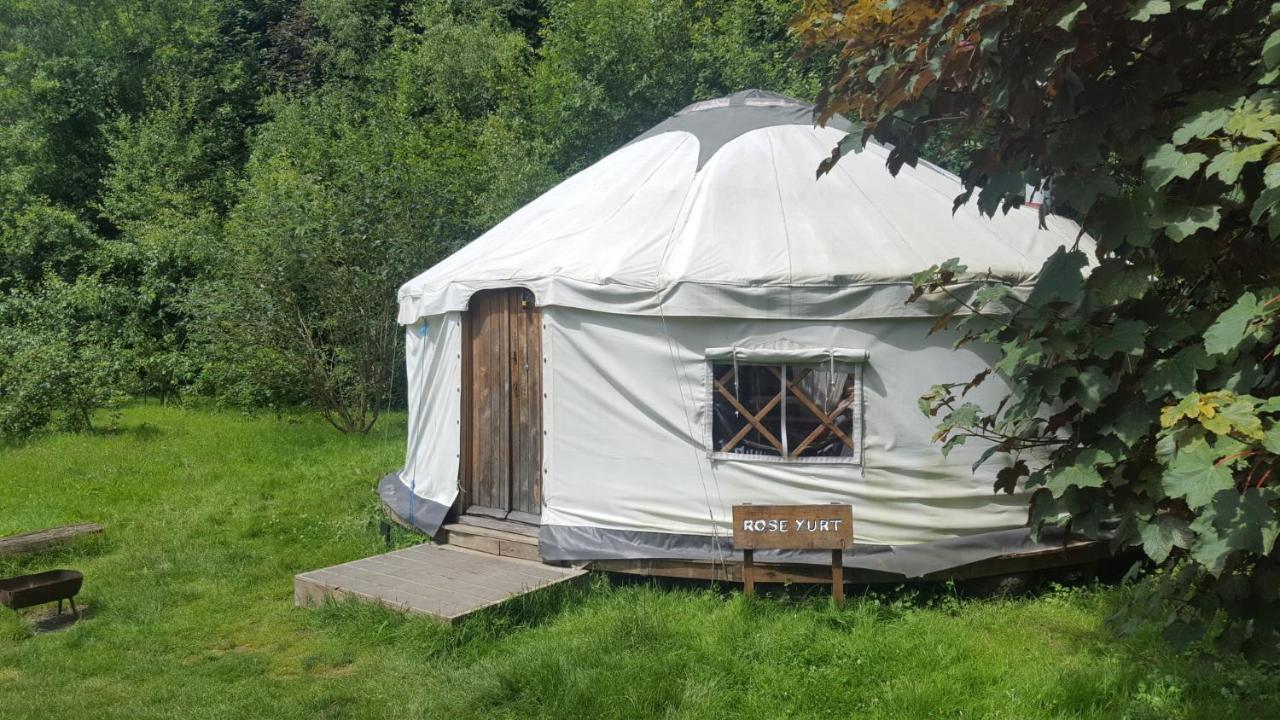 South Downs Eco Lodge & Camping East Meon Luaran gambar