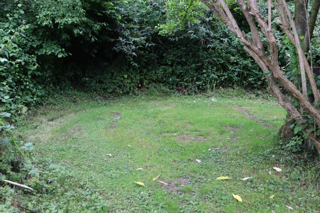 South Downs Eco Lodge & Camping East Meon Luaran gambar