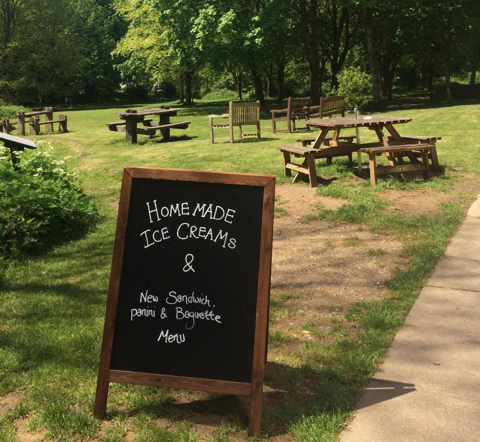 South Downs Eco Lodge & Camping East Meon Luaran gambar