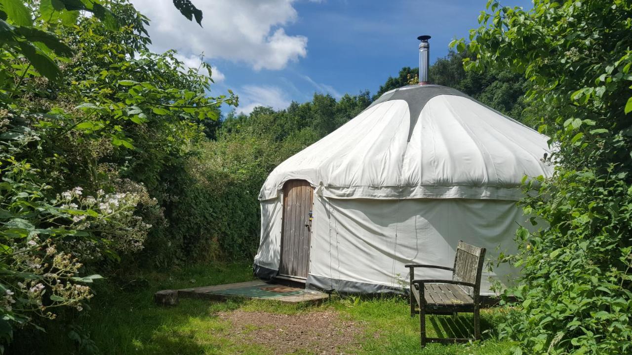 South Downs Eco Lodge & Camping East Meon Luaran gambar